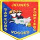 Blason Jeunes Sapeurs Pompiers des Vosges