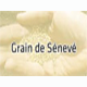 grain de sénevé